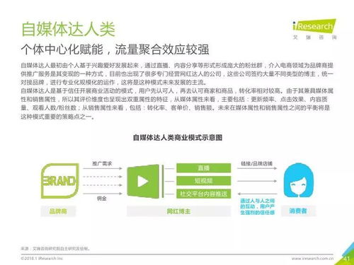 洞见消费决策新路径 2018年中国在线导购行业研究报告简析